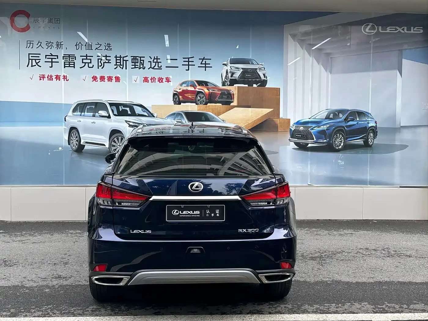 LEXUS RX