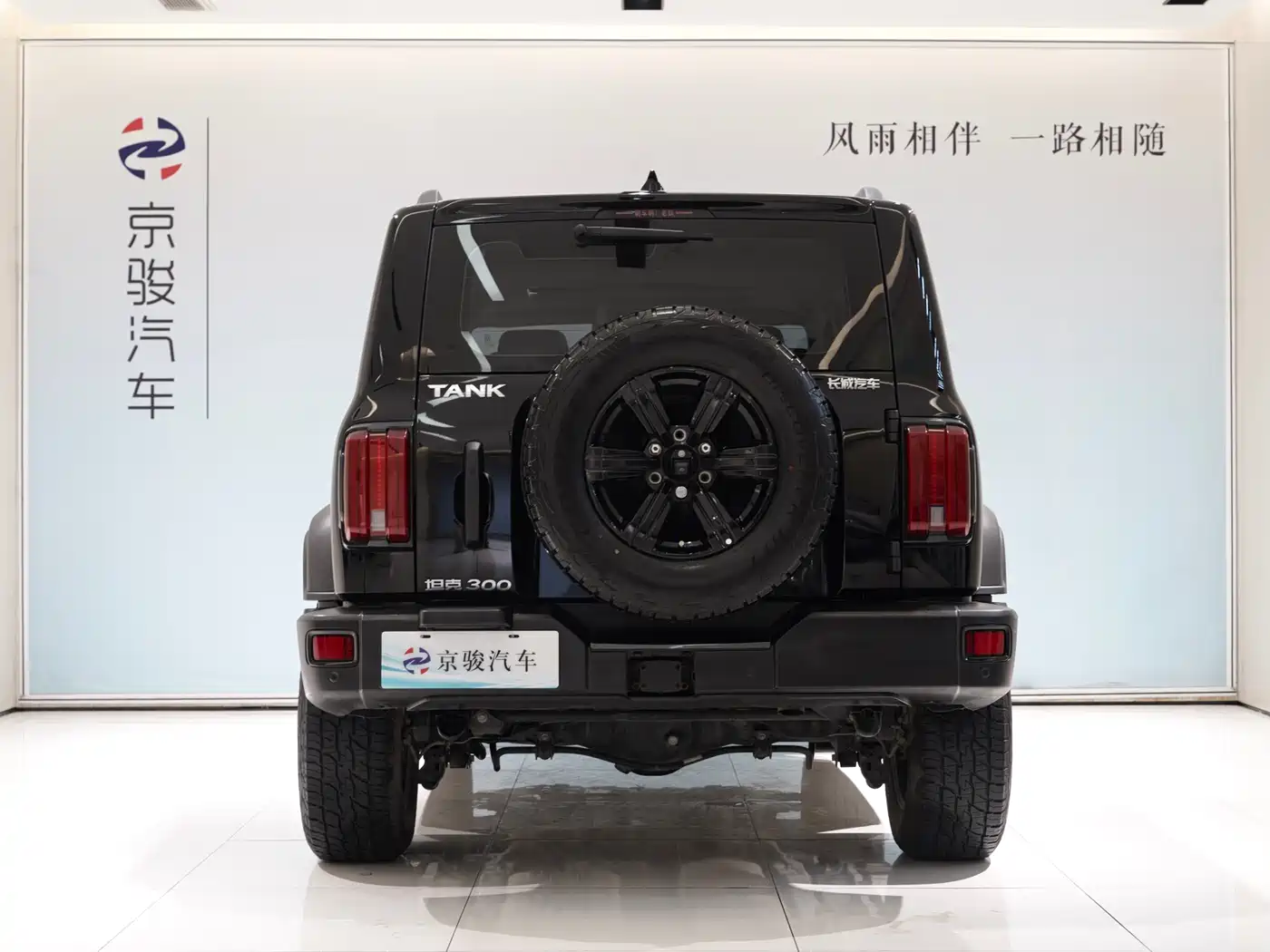 Tank 300 2023 Off-Road Edition 2.0T Conqueror фото 4