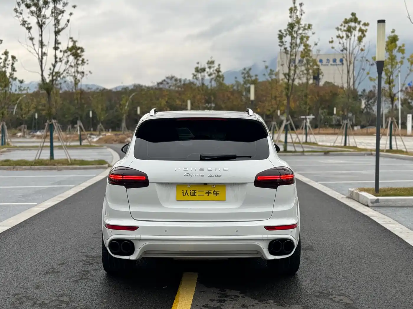 Porsche Cayenne 2015 Cayenne Turbo 4.8T фото 7