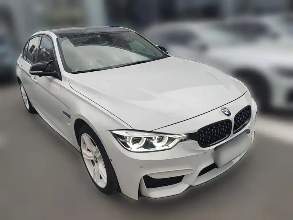 BMW 3 Series 2019 320Li M Sport Package фото 7