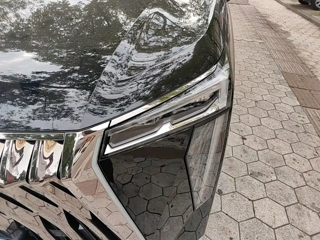 Фото 24 - GAC Trumpchi M8
