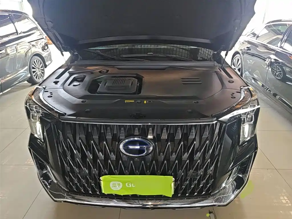 GAC Trumpchi Trumpchi ES9 2024 PHEV 143km Pro+ фото 20