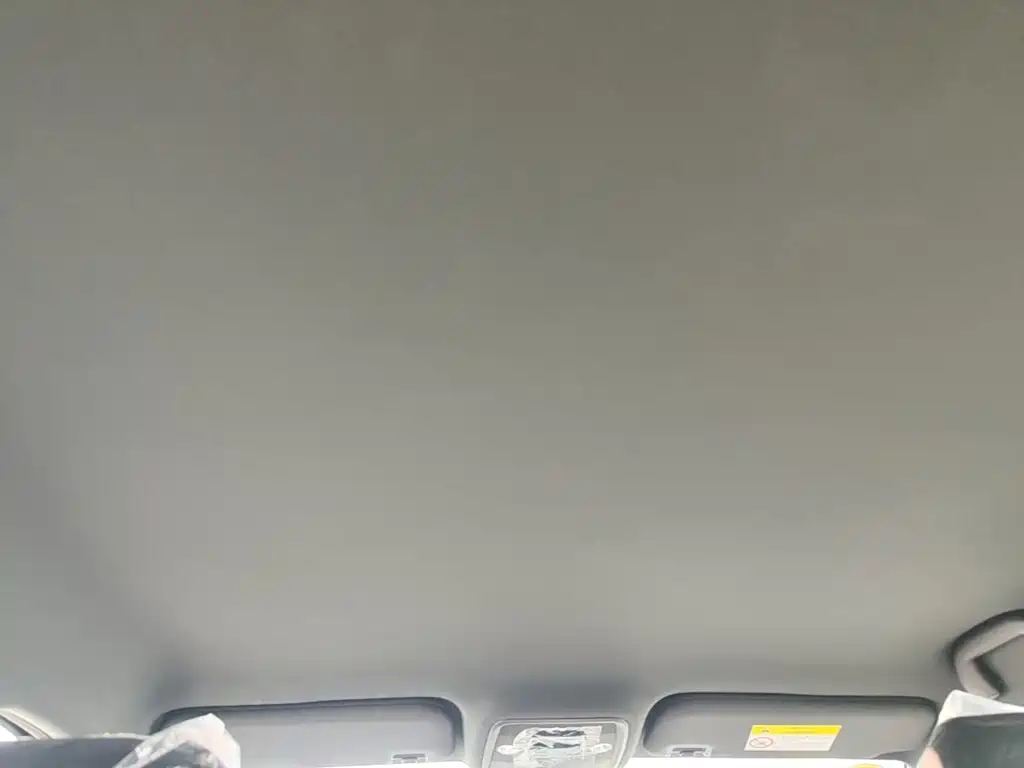 BYD Seagull 2026 2025 Smart Drive Edition 305km Vitality Version