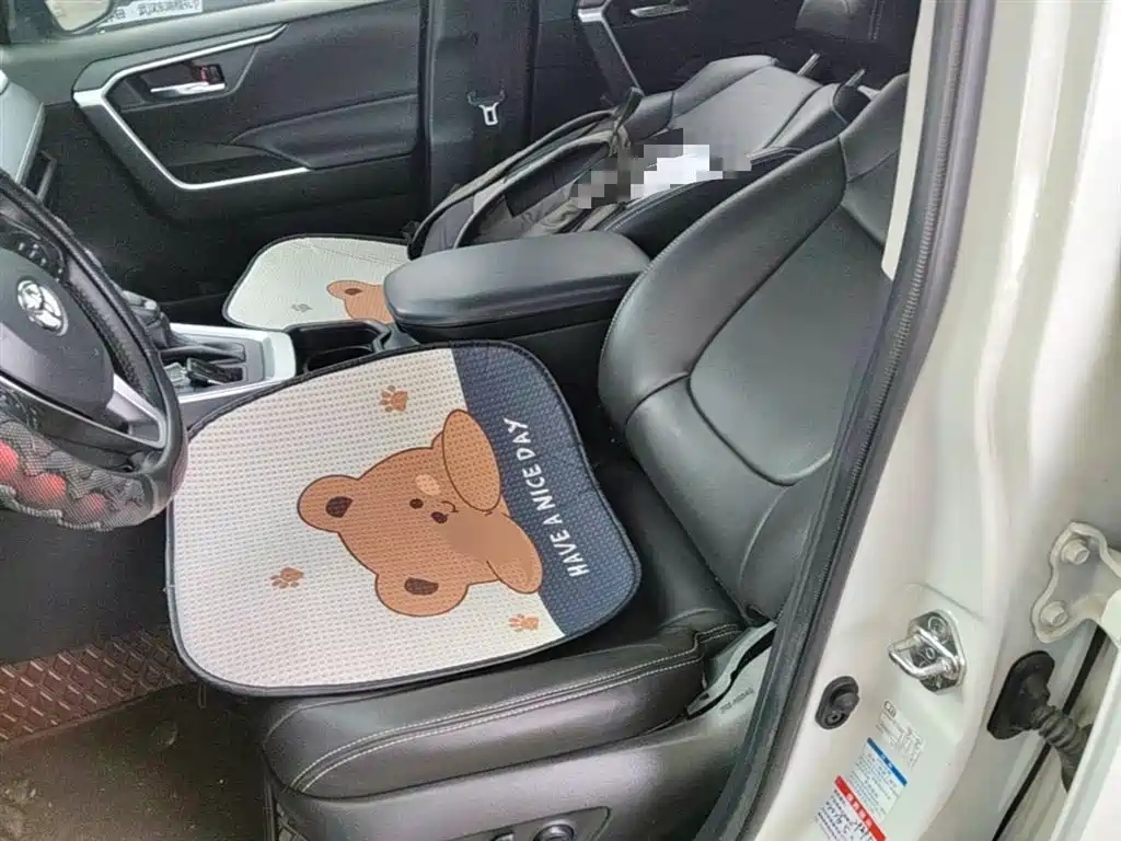 Toyota RAV4 Rongfang 2020 2.0L CVT AWD Trend Edition фото 22