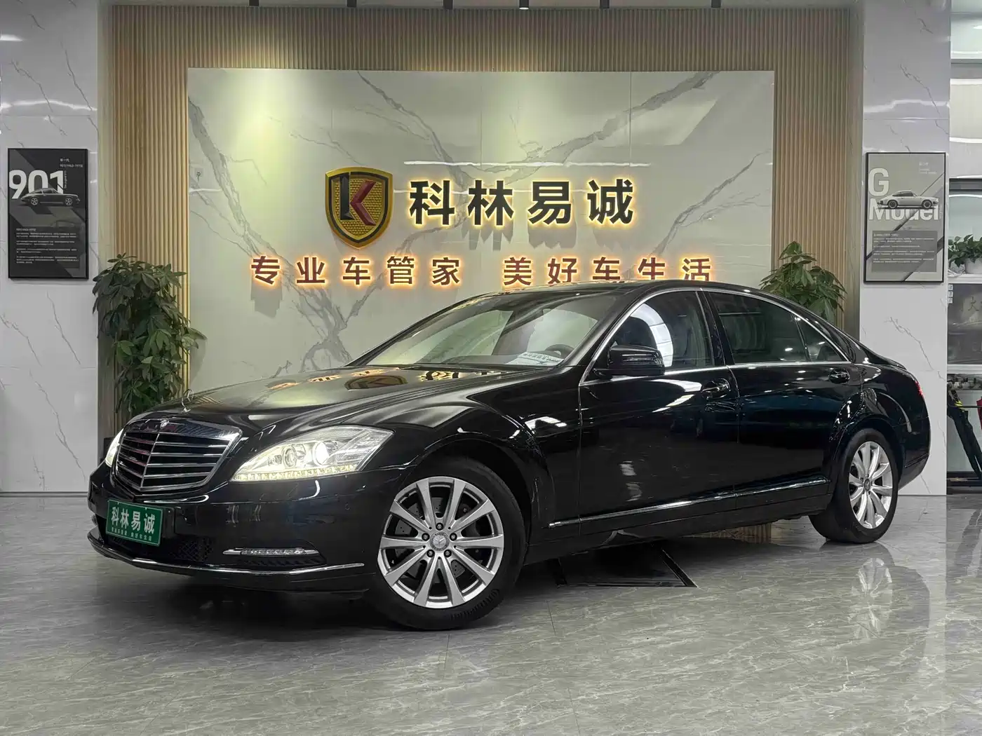 Mercedes-Benz S-Class 2010 S 300 L Luxury
