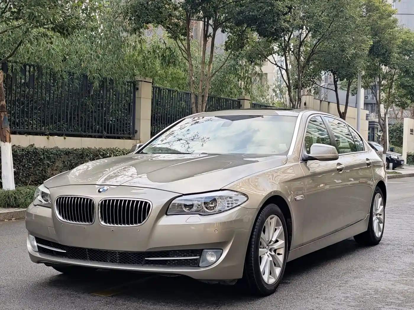 BMW 5 Series 2011 535Li Leading