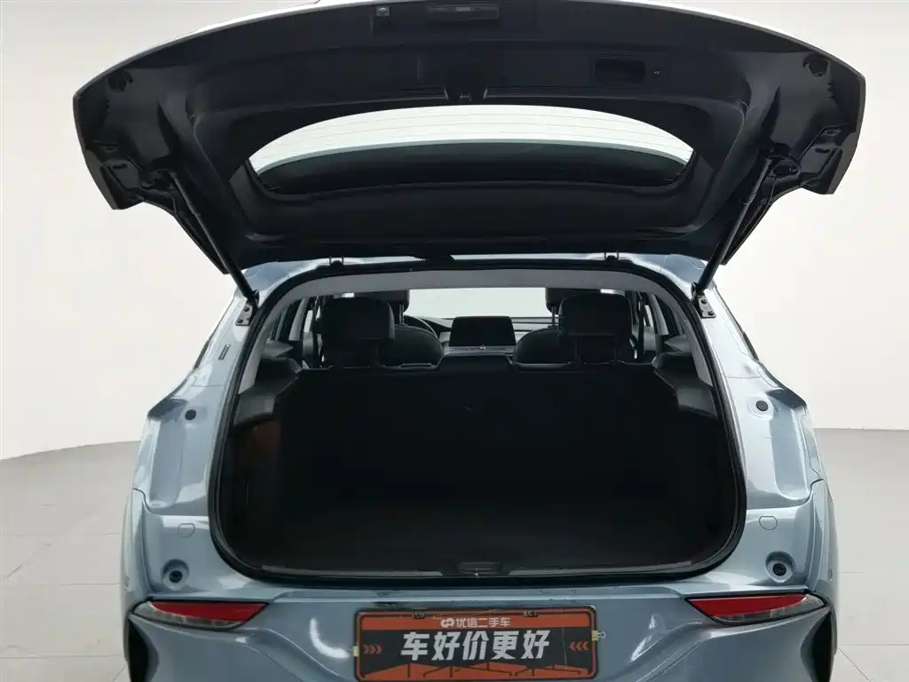 BUICK SLIGHTLY BLUE 6