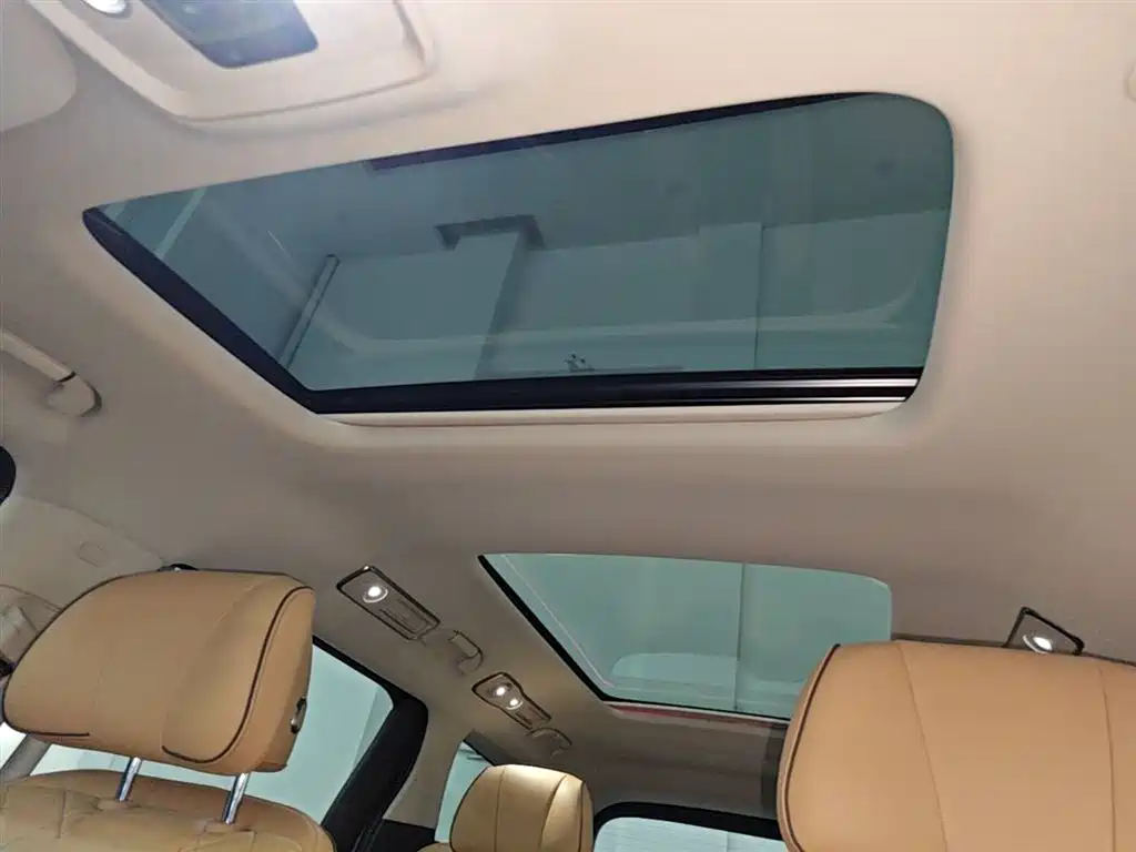 Denza D9 2024 DM-i 980 AWD Prestige фото 18