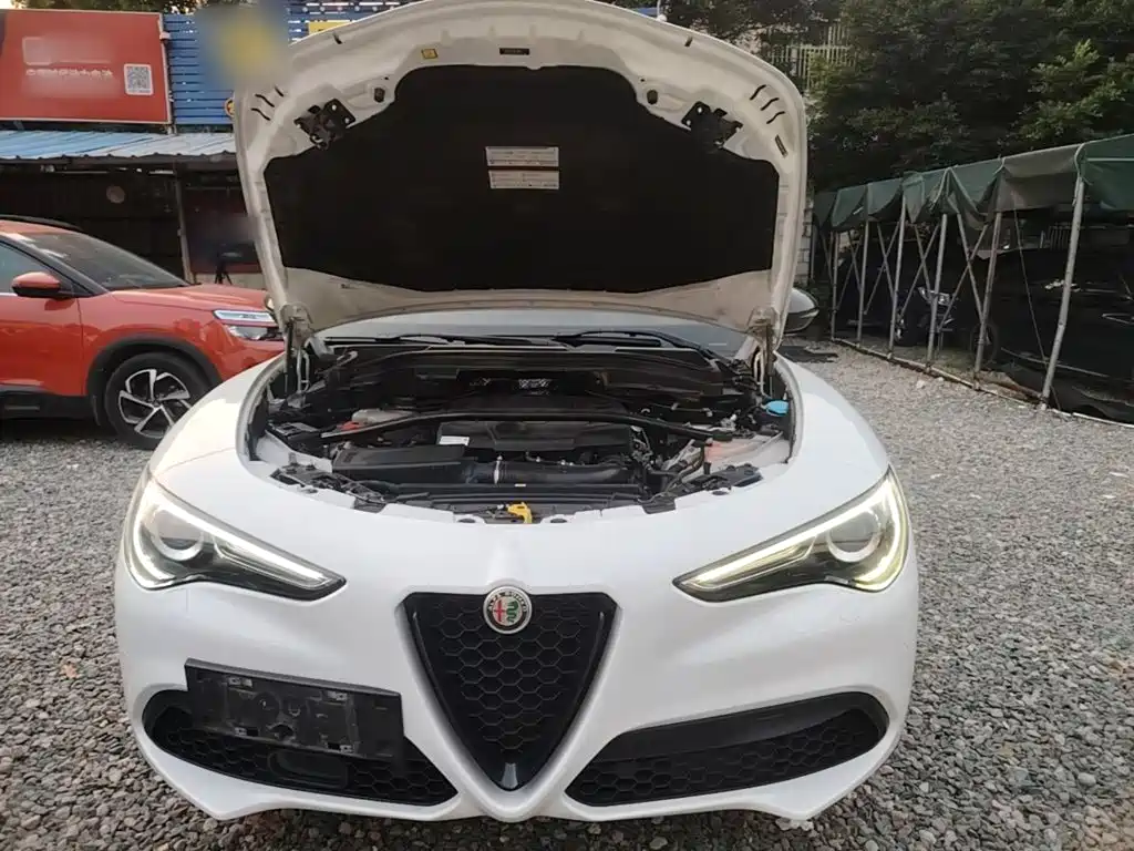Alfa Romeo Stelvio 2020 2020 2.0T 280HP Luxury Edition