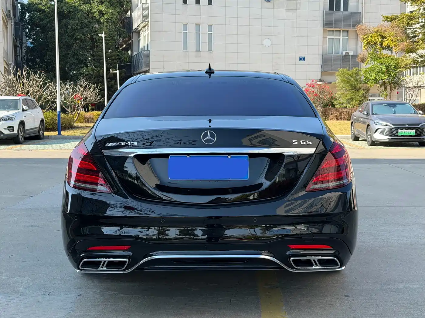 Mercedes-Benz S-Class AMG 2018 AMG S 65 L фото 22