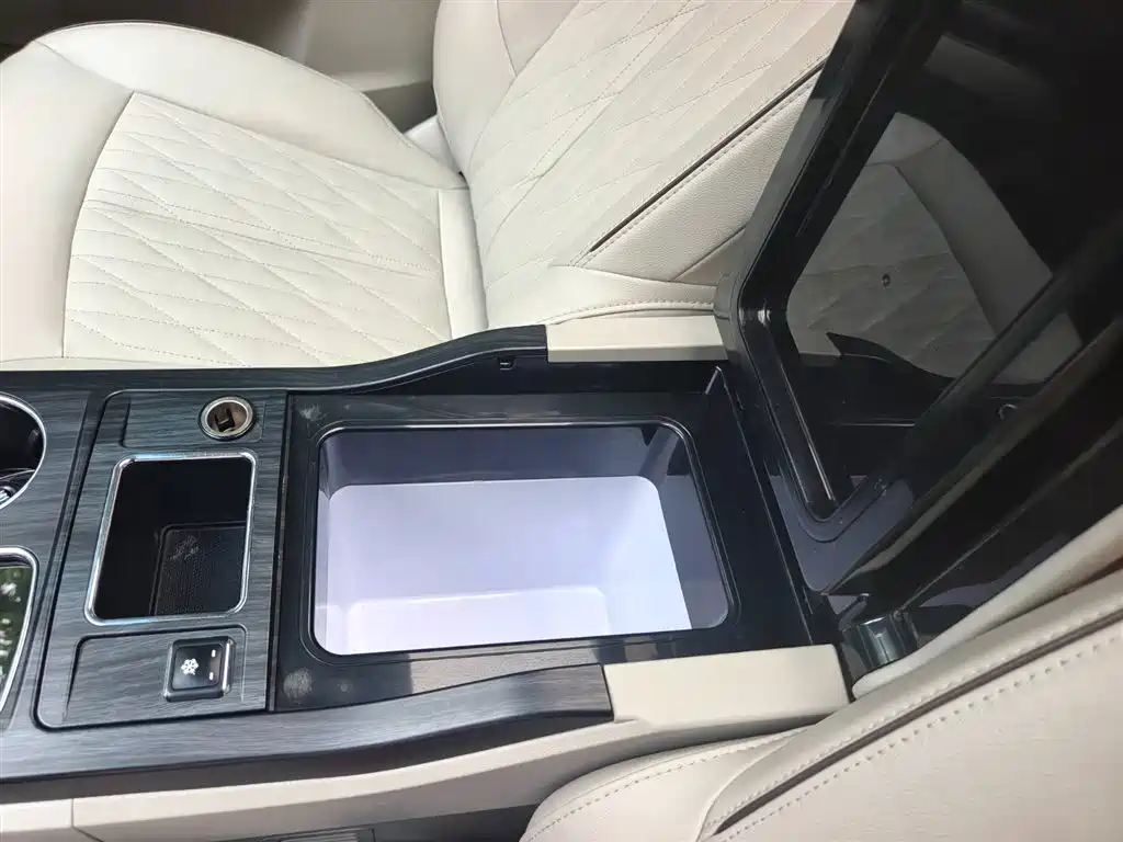 Buick GL8 2021 Land Business Class 652T Luxury фото 17