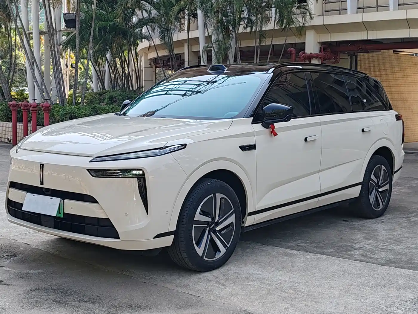 WEI PAI WEI BRAND BLUE MOUNTAIN