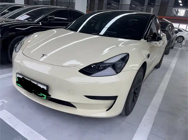 Tesla Model 3 2022 Model Rear-Wheel Drive Version