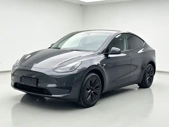 Tesla Model Y Задний привод