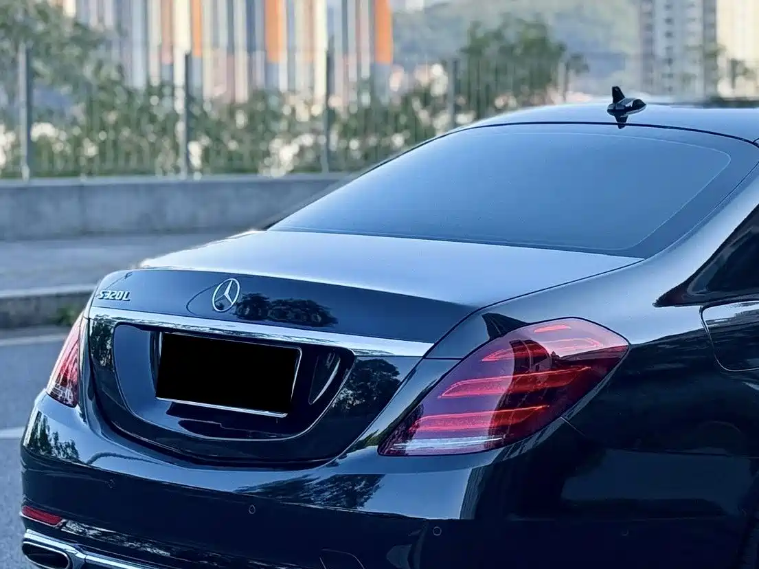 Mercedes-Benz S-Class 2019 S 320 L фото 15