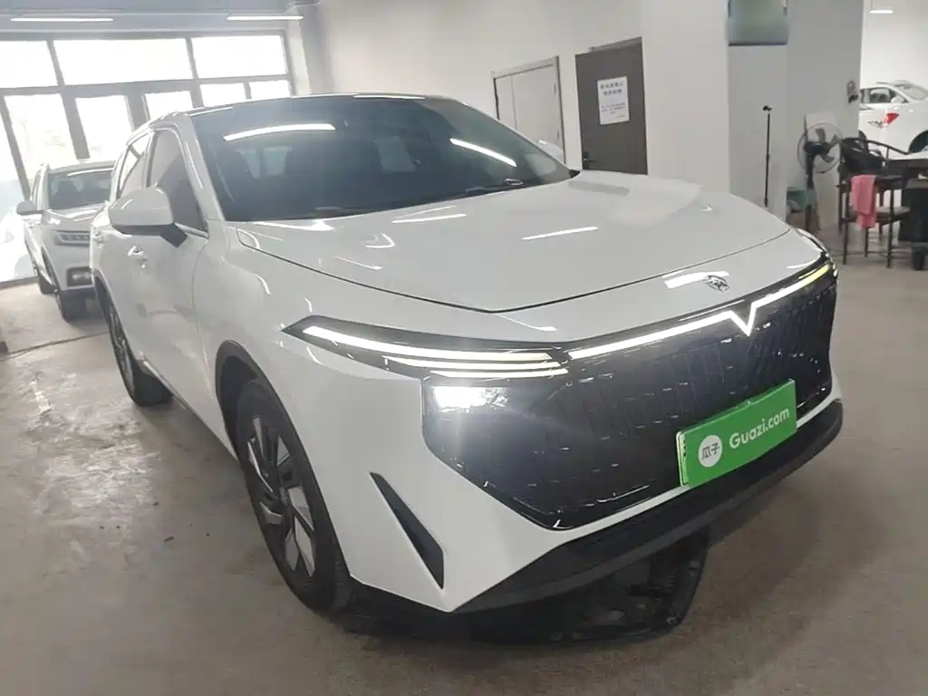 Venucia DaV DD-i 2023 2023 110km iE Edition
