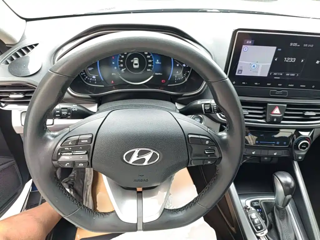صورة 11 - Hyundai Lafesta
