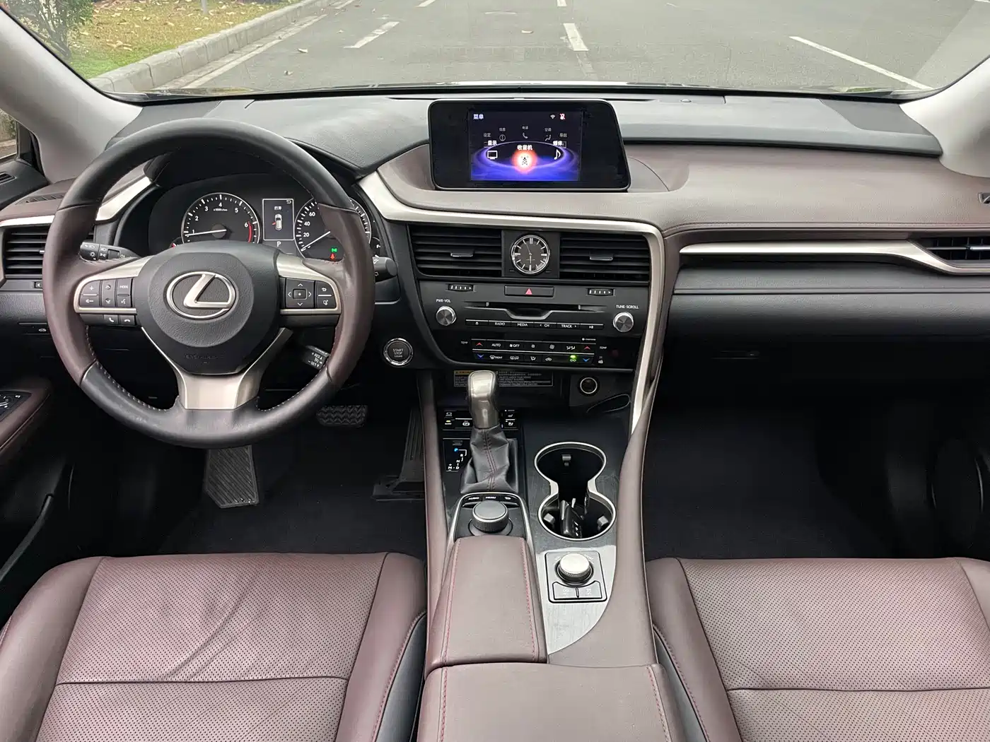 Lexus RX 2016 300 4WD Elegance Edition (China V) фото 11
