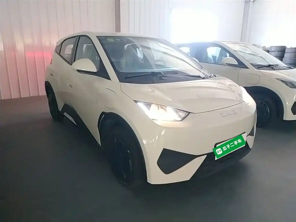 BYD Seagull 2026 2025 Smart Drive Edition 305km Vitality Version