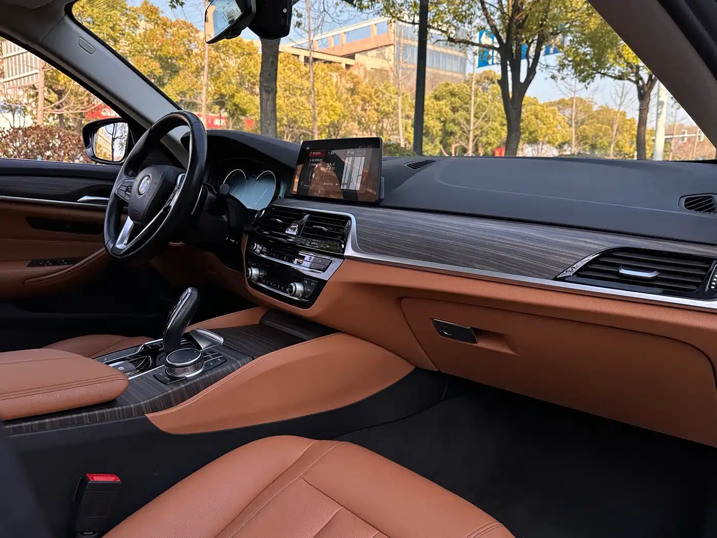 BMW 5 Series 2018 530Li xDrive Luxury Package фото 12