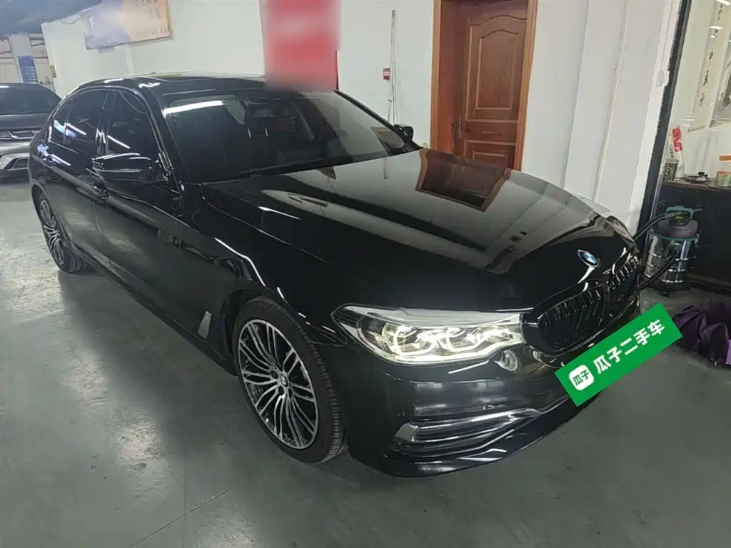 BMW 5 Series New Energy 2020 530Le Range Upgrade Luxury Package фото 4