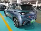 Фото 5 - BYD Dolphin