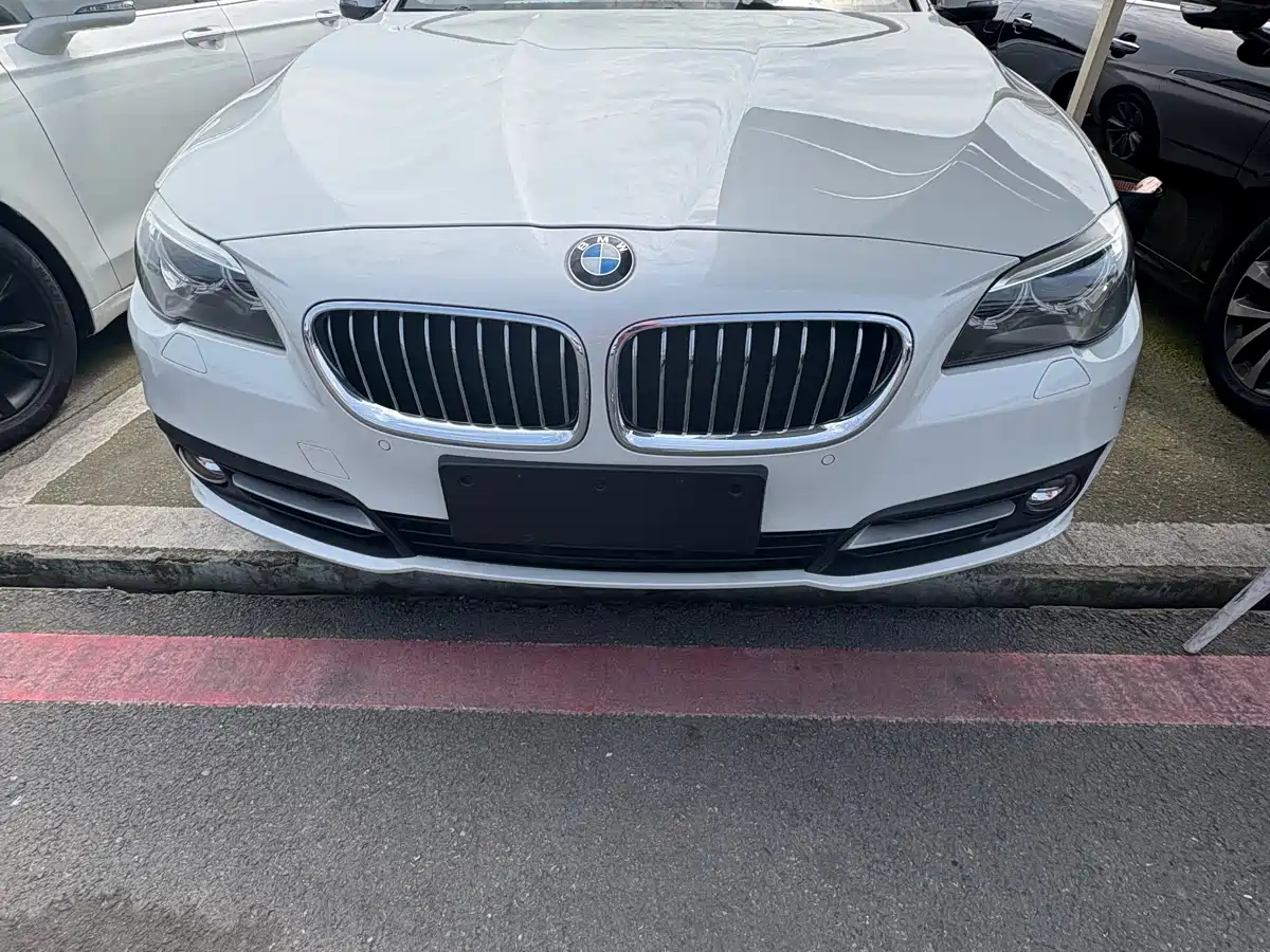 BMW 5 Series 2013 520Li Elegance фото 2