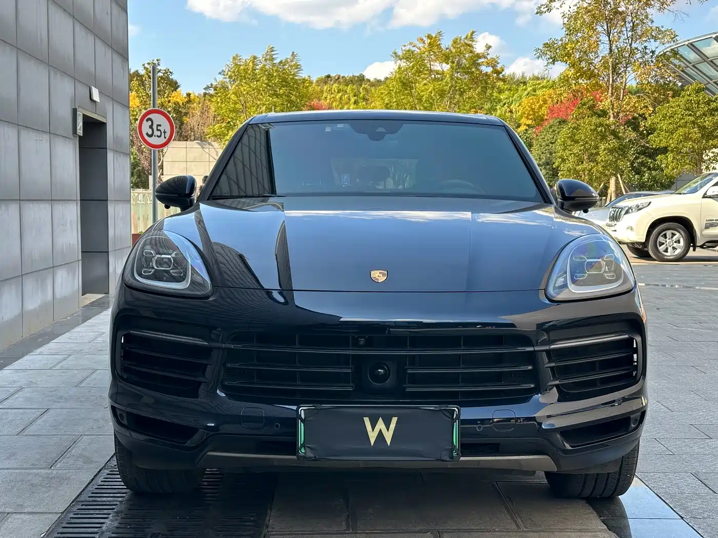Porsche Cayenne New Energy 2022 Cayenne E-Hybrid 2.0T Platinum Edition фото 5