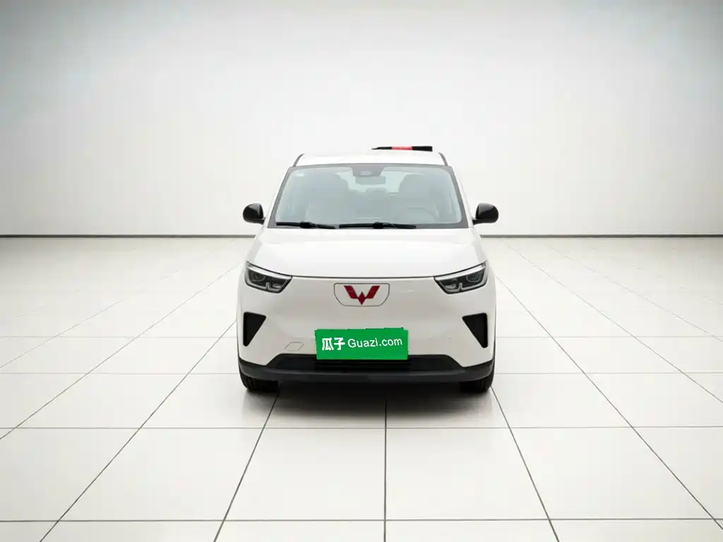 Wuling Motors Wuling Yangguang 2026 2024 300KM Comfort Bus Version 75kW