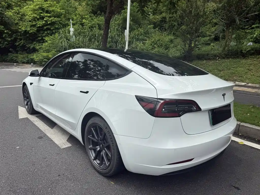Tesla Model 3 2020 2020 Standard Range Rear-Wheel Drive Upgrade