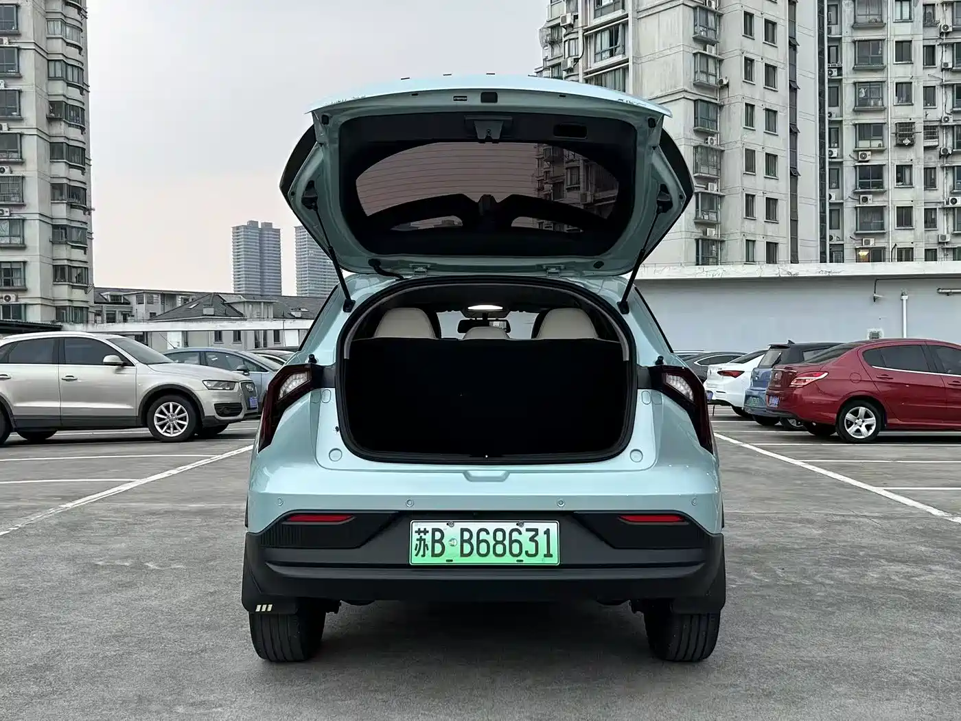 Geely Geometry E Firefly 2024 2024 Model 301km Light Flow