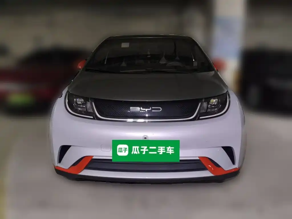 Фото 2 - BYD Dolphin