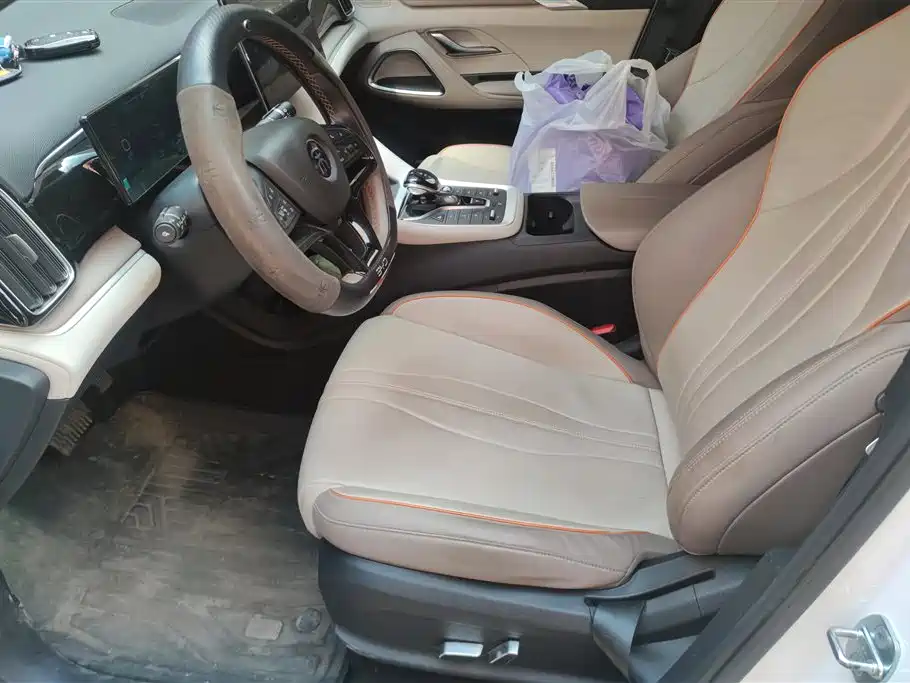 BYD SONGJIANG NEW ENERGY