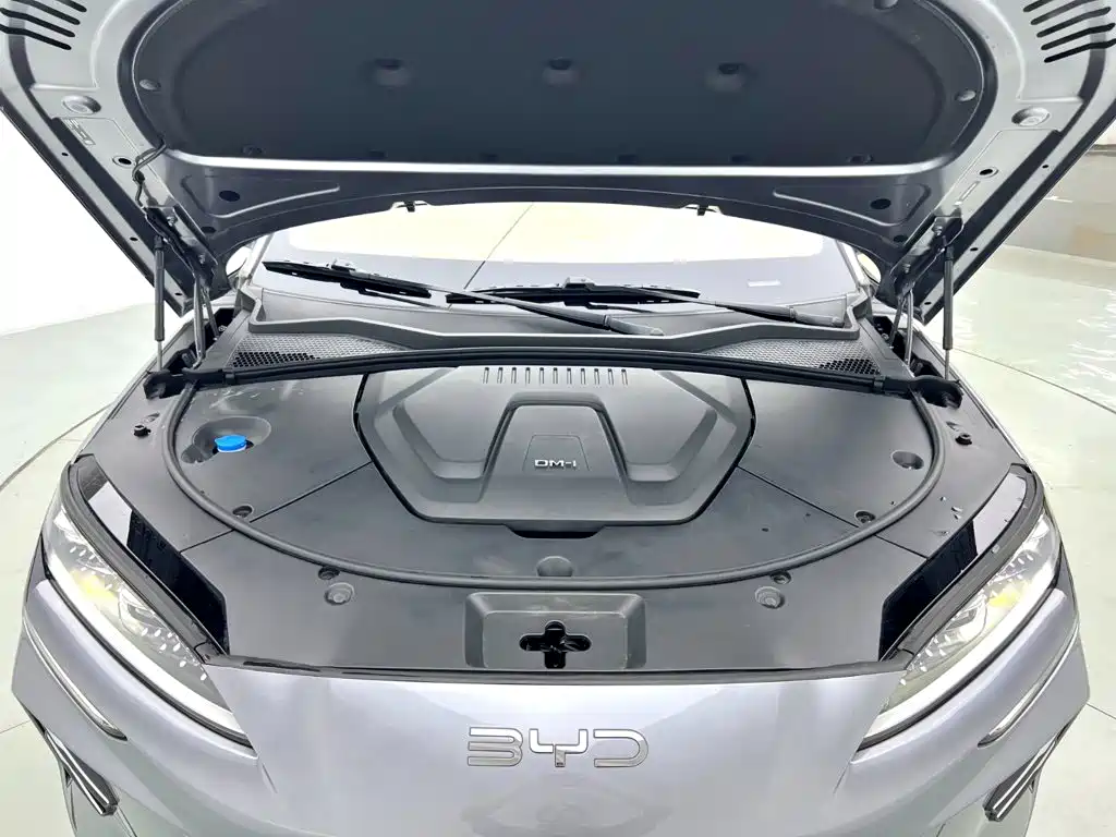 BYD Song PLUS PHEV 2025 2025 DM-i 112KM Honor
