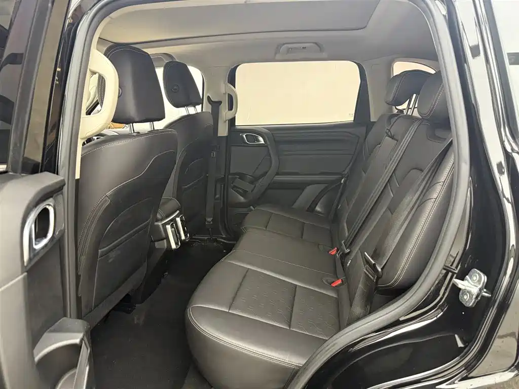 HAVAL BIG DOG