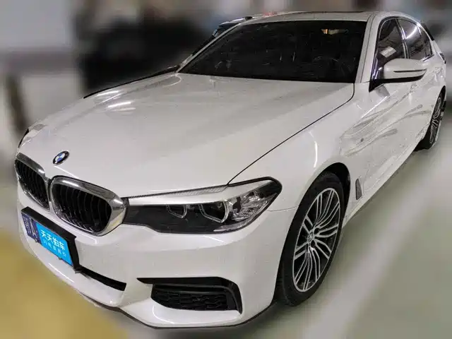 BMW 5 Series 2019 530Li Leading M Sport Package — фото 1