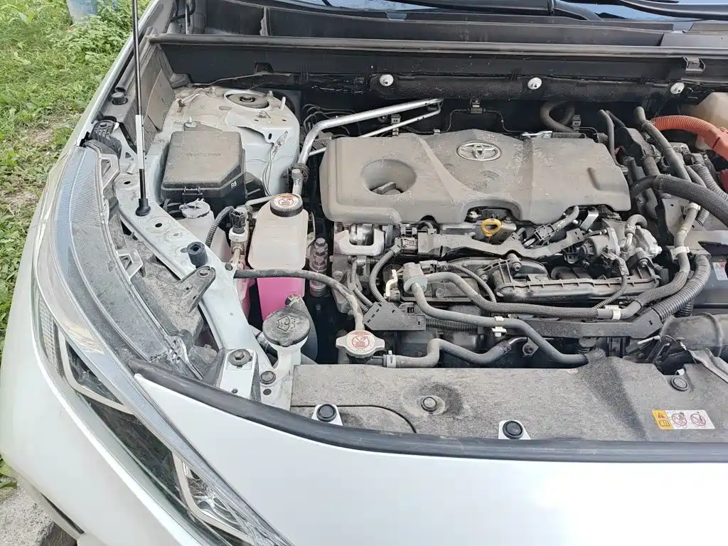 Фото 20 - Toyota Wildlander