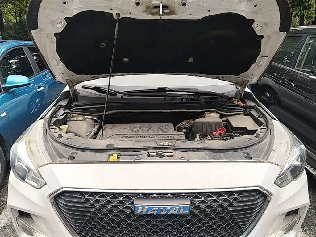 Haval M6 2017 1.5T Automatic 2WD Elite фото 20