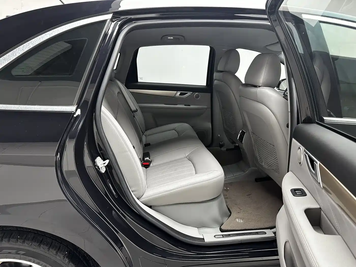 Denza Denza 2019 2018 500 Fashion Edition