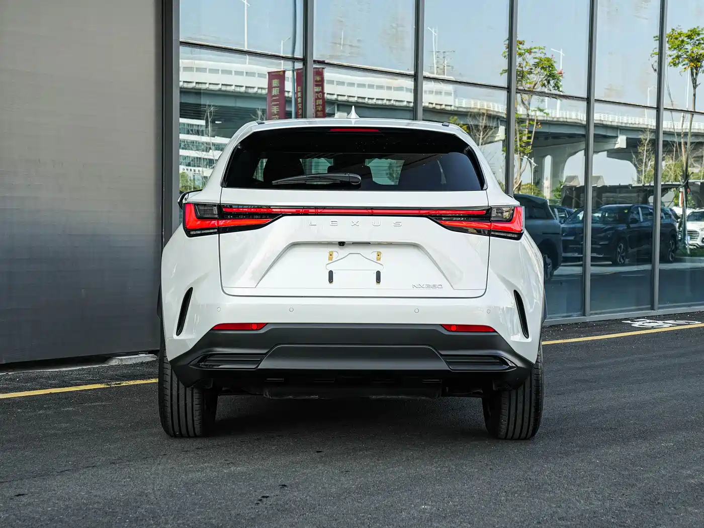 LEXUS NX