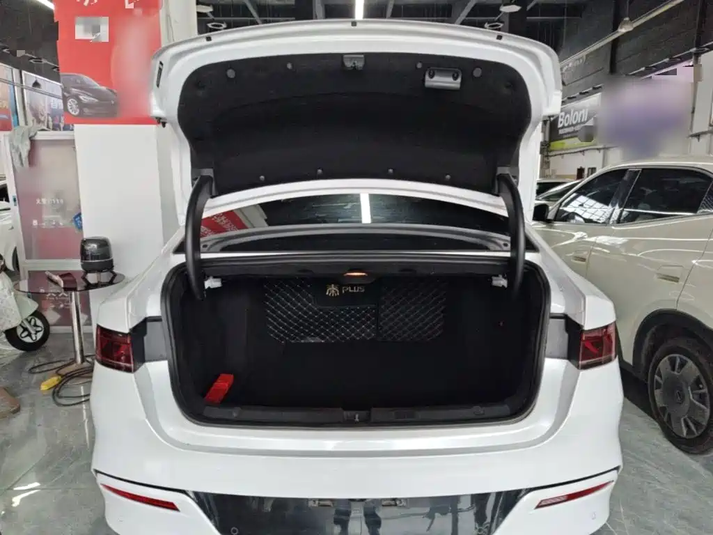BYD Qin PLUS 2021 2021 EV 500KM Premium Model