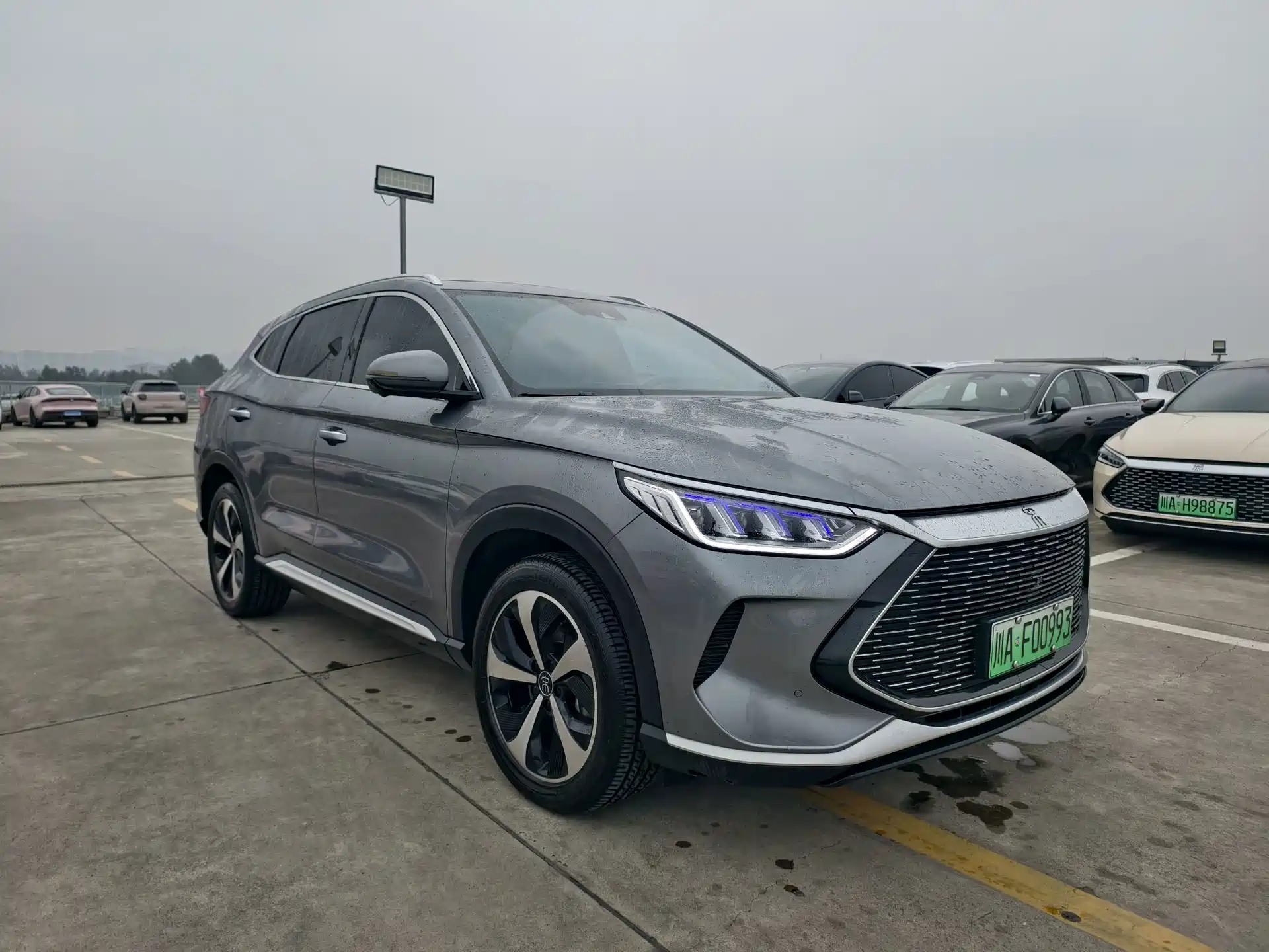 Фото 3 - BYD Song PLUS PHEV