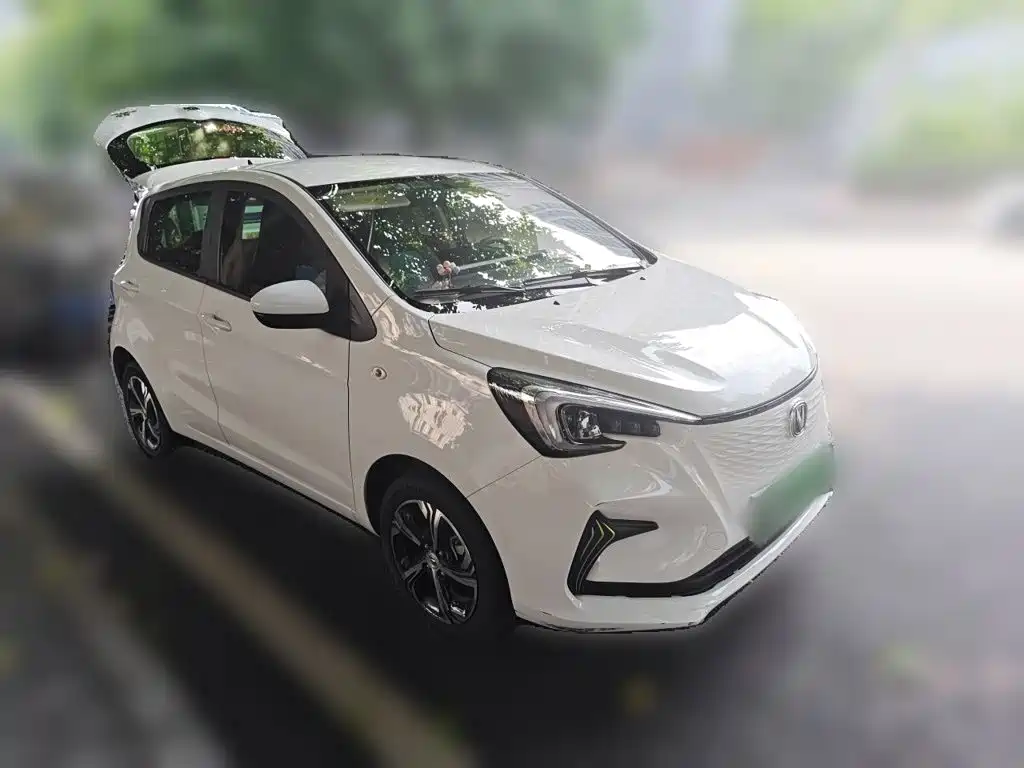Changan Benben E-Star 2021 2020 Model Happy Edition (LFP 31.18kWh)