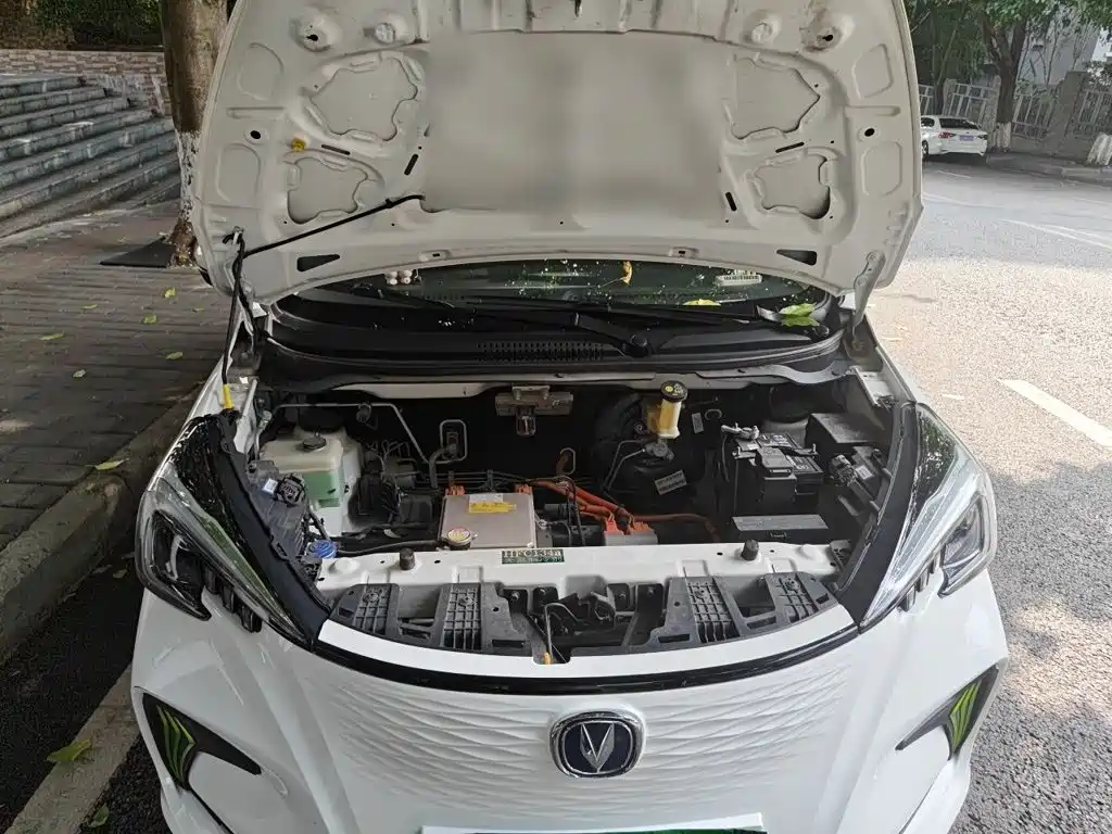 Changan Benben E-Star 2021 2020 Model Happy Edition (LFP 31.18kWh)
