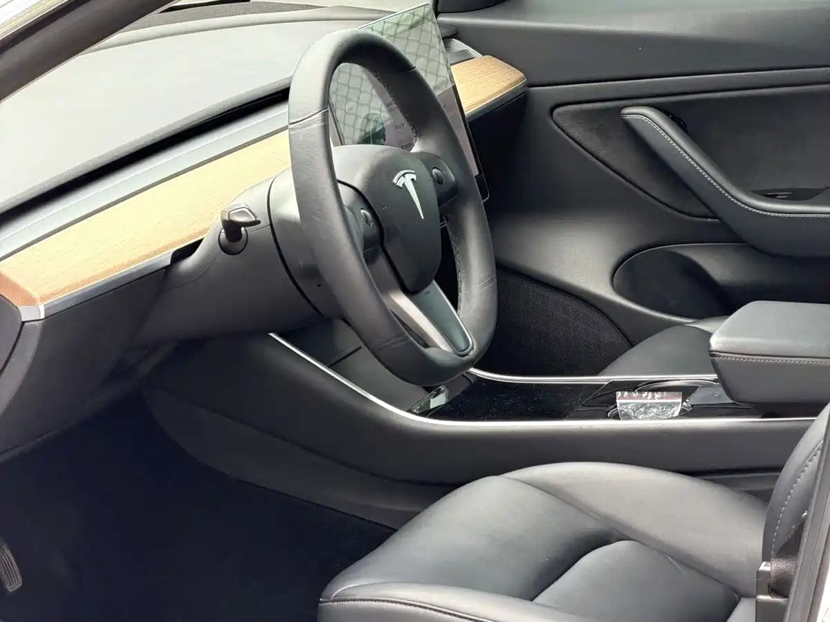 Tesla Model 3 (Import) 2019 2019 Long Range RWD Version