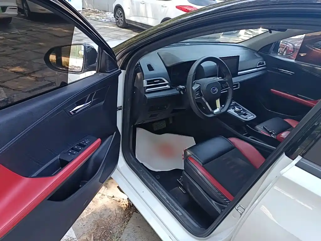 BYD e2 2019 2019 Long Range Yao·Luxury Model