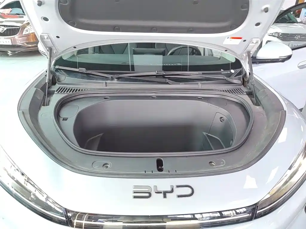 BYD Hai Shi 05 EV 2025 520KM Smart Navigation Edition фото 20