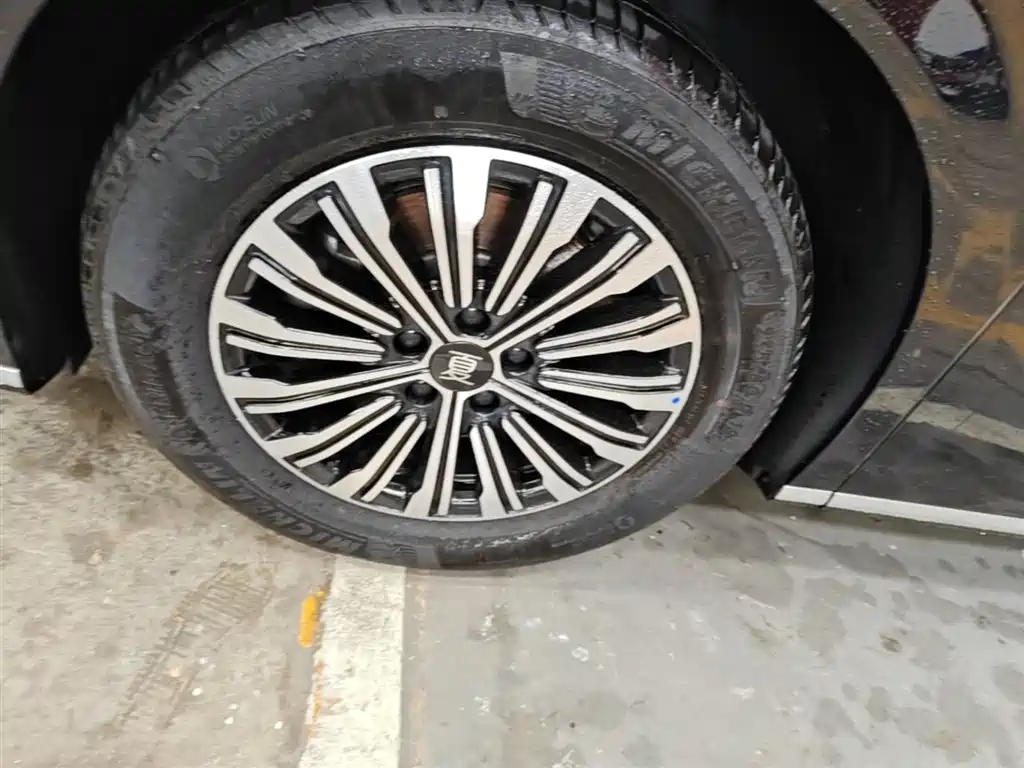 BYD Xia 2025 DM-i 1.5T 180km Surpass Edition фото 23