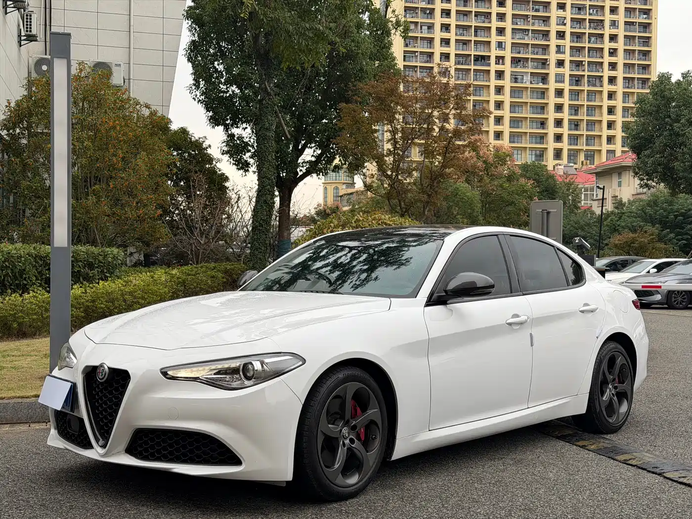 Alfa Romeo Giulia 2020 2.0T 280HP Dark Night Phantom Limited фото 2