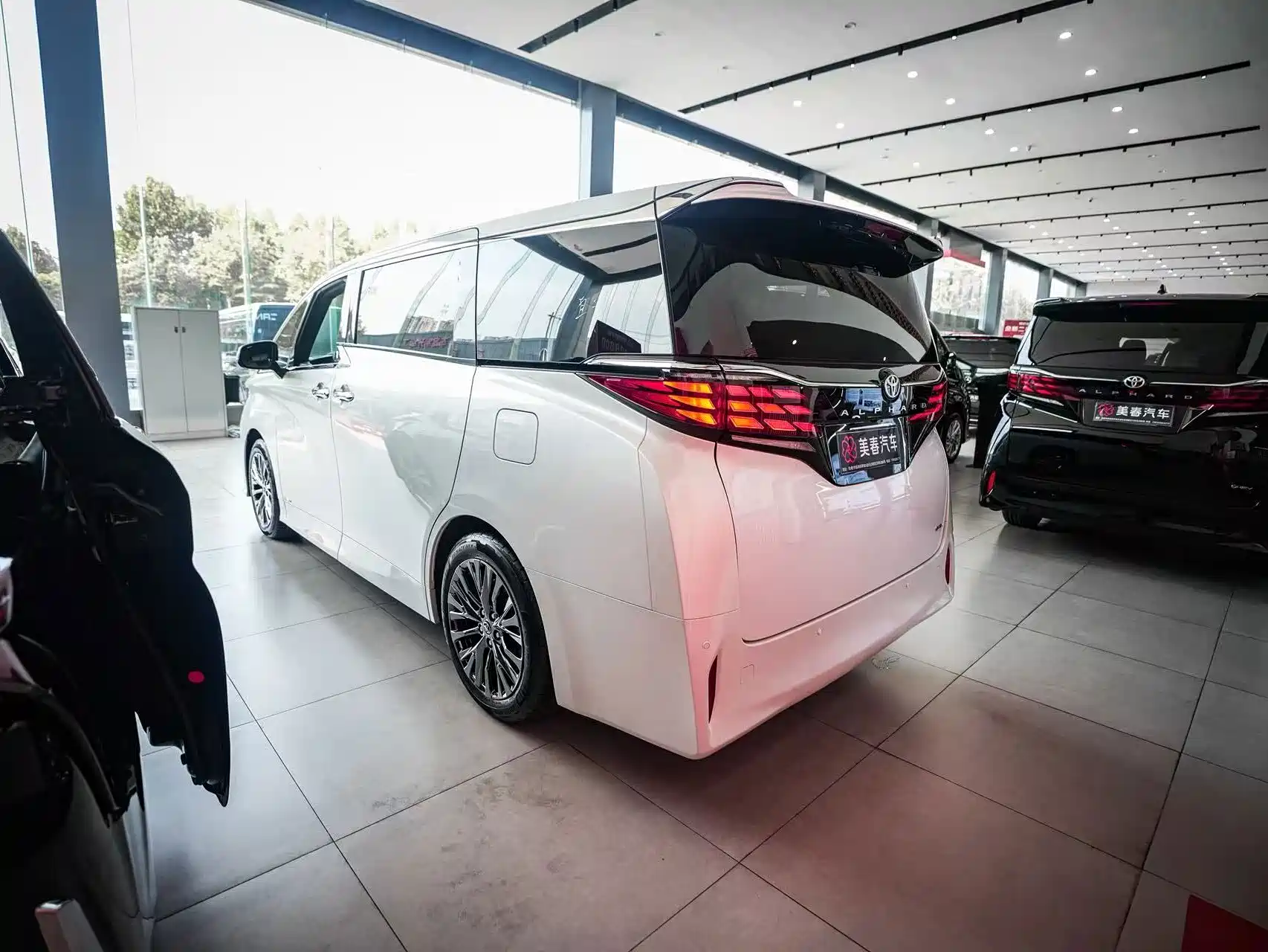 Фото 10 - Toyota Alphard